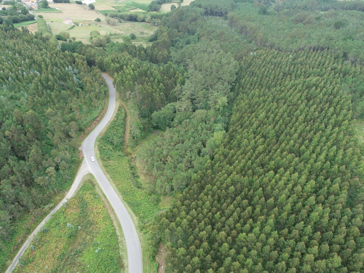 Preparación de un&nbsp;vuelo